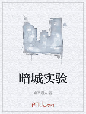 暗城实验在线阅读