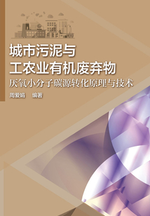 城市污泥與工農業有機廢棄物厭氧小分子碳源轉化原理與技術