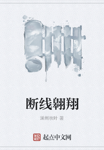 斷線翱翔