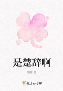 是楚辭啊