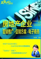 房地产企业营销推广·促销方案·电子商务在线阅读