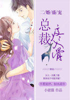 二婚盛宠:总裁疼入骨