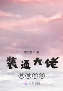 装逼大佬专用系统