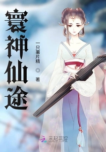 寰神仙途