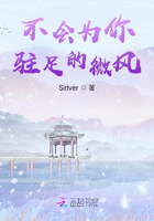 不會為你駐足的微風在線閱讀