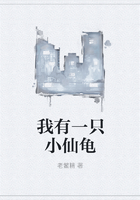 我有一只小仙龟