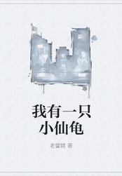 我有一只小仙龟在线阅读