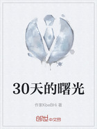 30天的曙光在线阅读