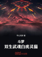 斗罗:双生武魂白虎灵猫在线阅读