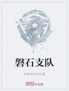 磐石支队在线阅读