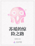 苏瑶的惊险之路在线阅读