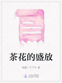 茶花的盛放