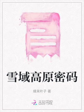 雪域高原密码在线阅读