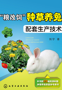 “糧改飼”種草養兔配套生產技術