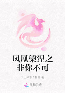 鳳凰槃涅之非你不可