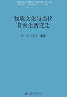 物质文化与当代日常生活变迁在线阅读