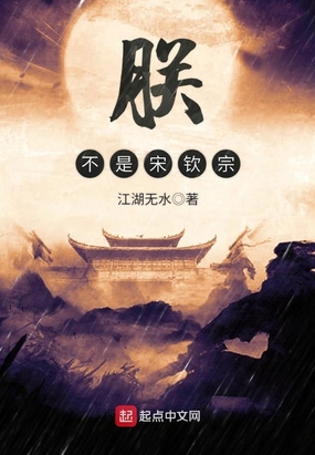 朕不是宋钦宗在线阅读