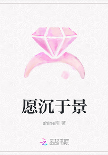 愿沉于景