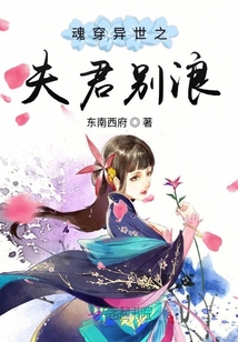 魂穿異世之夫君別浪
