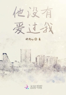 他没有爱过我