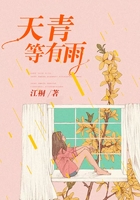 天青等有雨在線閱讀