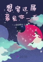 想穿過屏幕見你一面在線閱讀