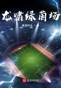 龍嘯綠茵場(chǎng)