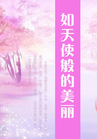 如天使般的美麗在線閱讀