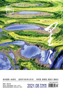 星星·散文詩（2021年第8期）