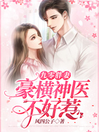 九零胖妻:豪横神医不好惹在线阅读