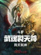 斗罗：武魂裂天斧，戮天弑神在线阅读