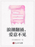 浪潮翻涌,爱意不见在线阅读