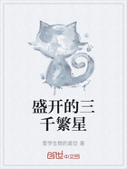 盛开的三千繁星在线阅读