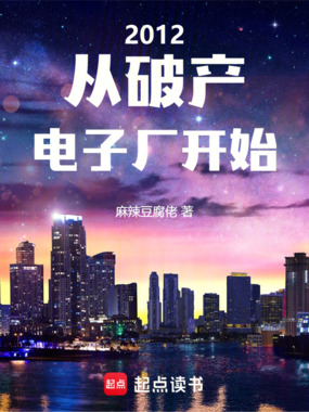 2012,从破产电子厂开始在线阅读