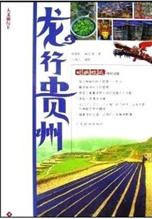 龍行貴州