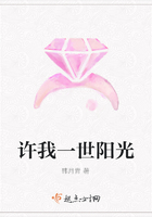 許我一世陽光在線閱讀