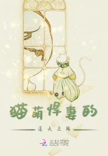 貓萌悍妻的追夫之路