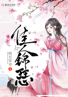 佳人錦瑟在線閱讀