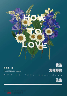 我該怎樣愛你,先生