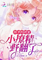 韩爷的团宠小撩精野翻了在线阅读