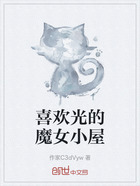 喜歡光的魔女小屋在線閱讀