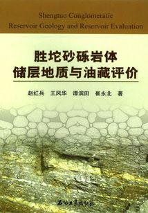 勝坨砂礫巖體儲層地質(zhì)與油藏評價
