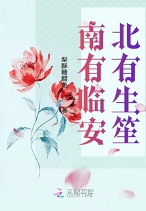 南有临安北有生笙