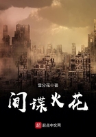 間諜火花在線閱讀
