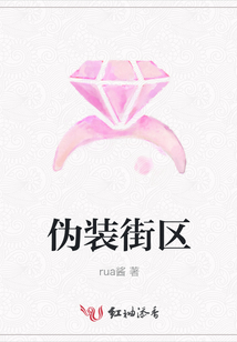 偽裝街區