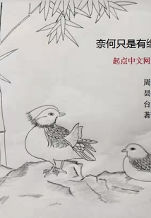 奈何只是有缘