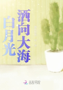 白月光灑向大海