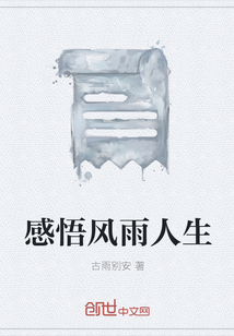 感悟风雨人生在线阅读
