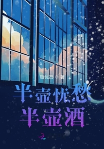 半壺憂愁半壺酒