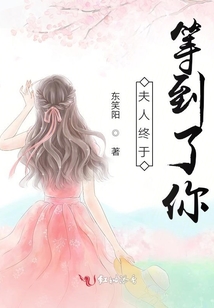 夫人終于等到了你